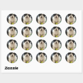 Havanese redding Puppy Black White Ronde Sticker (Vel)