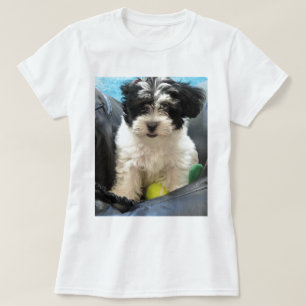 Havanese redding Puppy Black White T-shirt