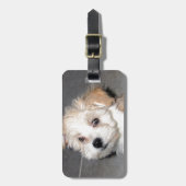 Havanese reddingspuppy Tan Beige Bagagelabel (Voorkant verticaal)