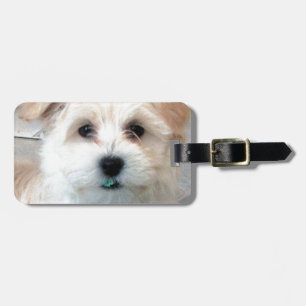 Havanese reddingspuppy Tan grappig groene tand Bagagelabel