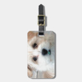 Havanese reddingspuppy Tan grappig groene tand Bagagelabel (Voorkant verticaal)