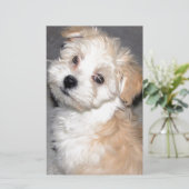 Havanese reddingspuppy tan wit briefpapier (Staand voorkant)