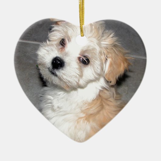 Havanese reddingspuppy tan wit keramisch ornament (Voorkant)