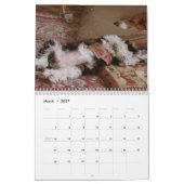 Havanese reddingsuppy Calendar Kalender (Mar 2027)