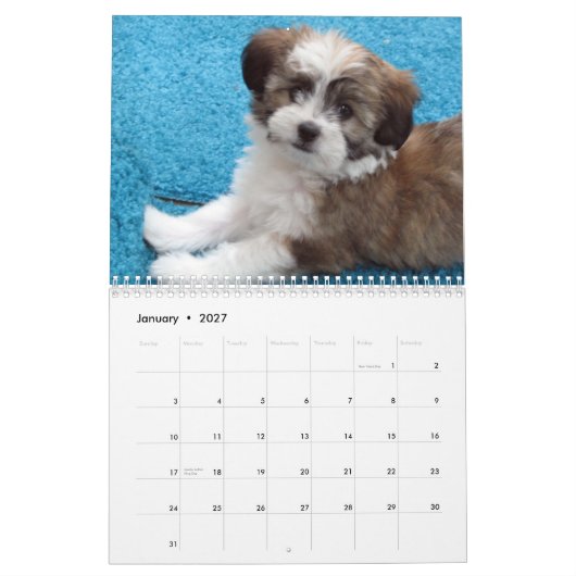 Havanese reddingsuppy Calendar Kalender (Jan 2027)