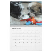 Havanese reddingsuppy Calendar Kalender (Feb 2027)