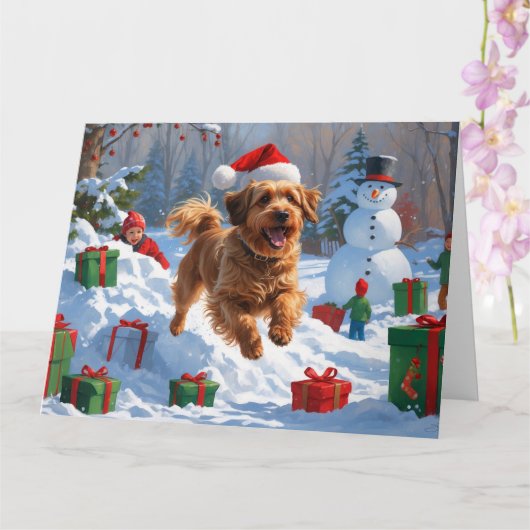Havanese rent in de sneeuw met kerstmuts kaart (Orchidee)