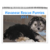 Havanese Rescu Puppies 2011 Kalender (Hoes)