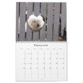 Havanese Rescu Puppies 2011 Kalender (Feb 2026)