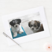 Havanese Rescue Puppies Zwart Wit Grijs Rechthoekige Sticker (Envelop)