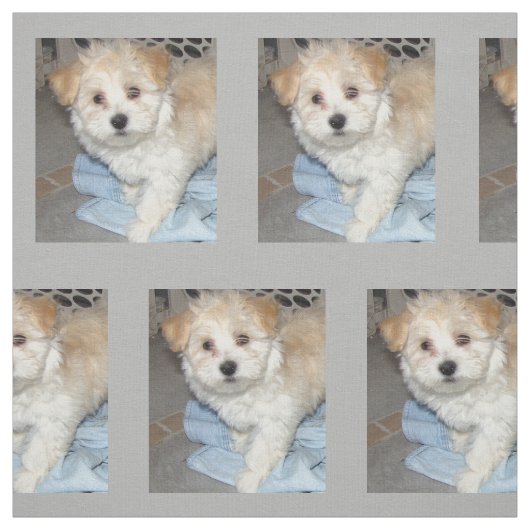 Havanese Rescue Puppt Stof (Swatch)