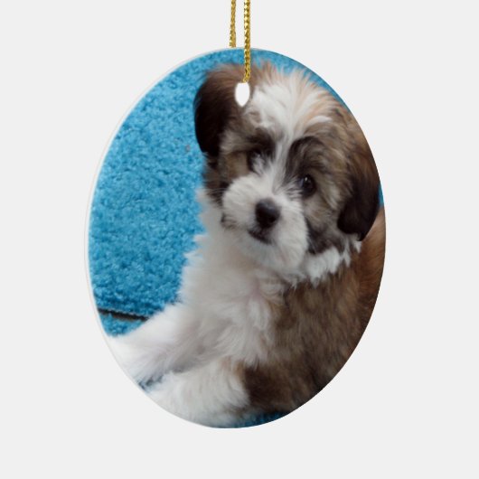 Havanese Rescue Puppy Keramisch Ornament (Rechts)