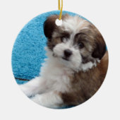 Havanese Rescue Puppy Keramisch Ornament (Voorkant)