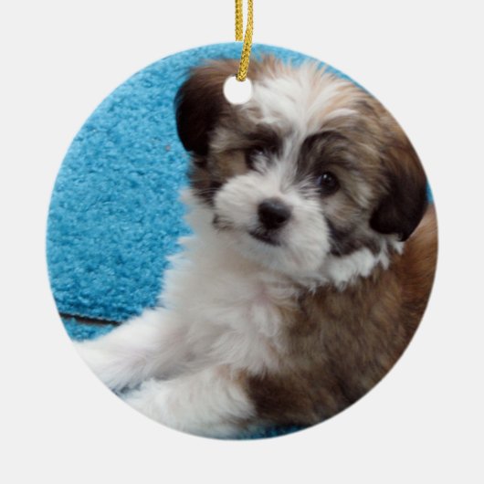 Havanese Rescue Puppy Keramisch Ornament (Voorkant)