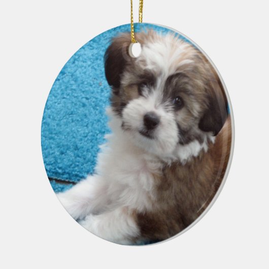 Havanese Rescue Puppy Keramisch Ornament (Links)