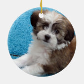 Havanese Rescue Puppy Keramisch Ornament (Achterkant)