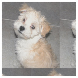 Havanese Rescue Puppy Stof