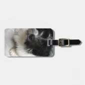 Havanese Rescue Puppy zwart-wit Bagagelabel (Voorkant horizontaal)