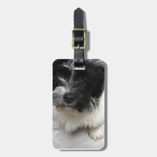 Havanese Rescue Puppy zwart-wit Bagagelabel (Voorkant verticaal)