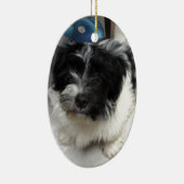 Havanese Rescue Puppy zwart-wit Keramisch Ornament (Rechts)