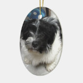 Havanese Rescue Puppy zwart-wit Keramisch Ornament (Links)