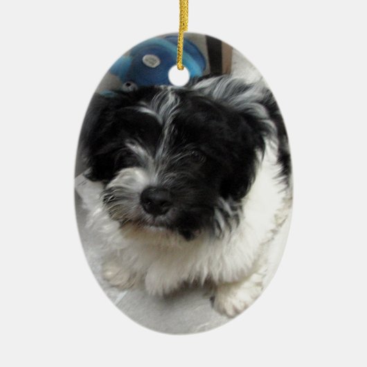 Havanese Rescue Puppy zwart-wit Keramisch Ornament (Voorkant)