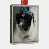 Havanese Rescue Puppy zwart-wit Metalen Ornament (Rechts)