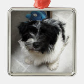 Havanese Rescue Puppy zwart-wit Metalen Ornament (Voorkant)