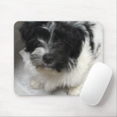 Havanese Rescue Puppy zwart-wit Muismat (Met muis)