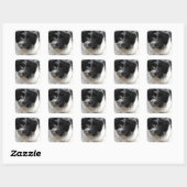 Havanese Rescue Puppy zwart-wit Vierkante Sticker (Vel)