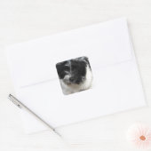 Havanese Rescue Puppy zwart-wit Vierkante Sticker (Envelop)