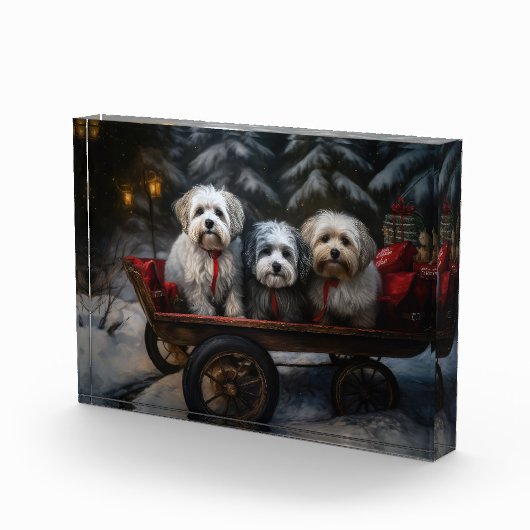 Havanese Sneeuwslee Kerst Decor Fotoblokken (Rechts)