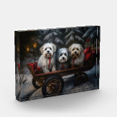 Havanese Sneeuwslee Kerst Decor Fotoblokken (Links)