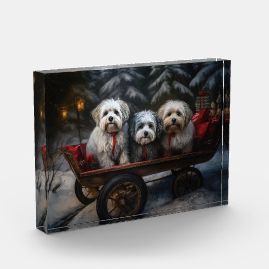 Havanese Sneeuwslee Kerst Decor Fotoblokken (Links)