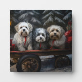 Havanese Sneeuwslee Kerst Decor Fotoplaat (Voorkant)
