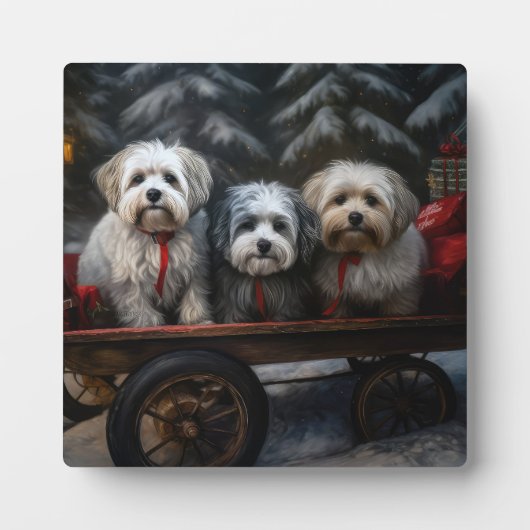 Havanese Sneeuwslee Kerst Decor Fotoplaat (Voorkant)