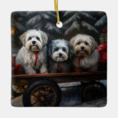 Havanese Sneeuwslee Kerst Decor Keramisch Ornament (Voorkant)