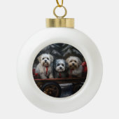 Havanese Sneeuwslee Kerst Decor Keramische Bal Ornament (Voorkant)