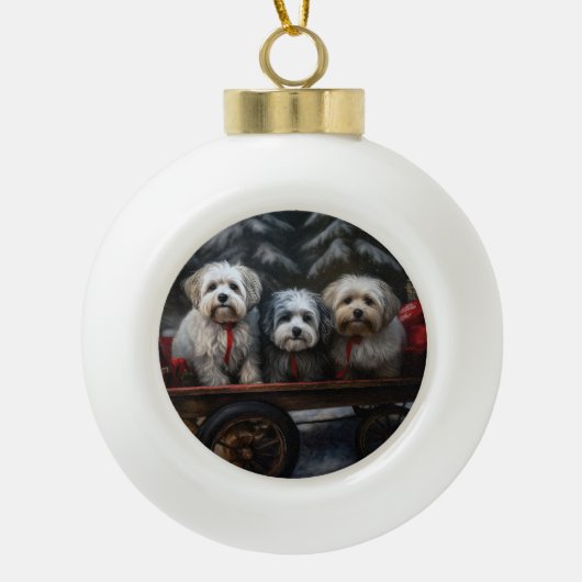 Havanese Sneeuwslee Kerst Decor Keramische Bal Ornament (Voorkant)
