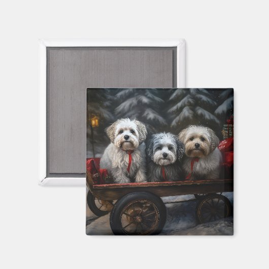 Havanese Sneeuwslee Kerst Decor Magneet (Voorkant / Achterkant)