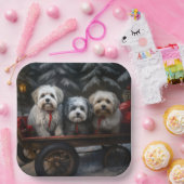 Havanese Sneeuwslee Kerst Decor Papieren Bordje (Feest)