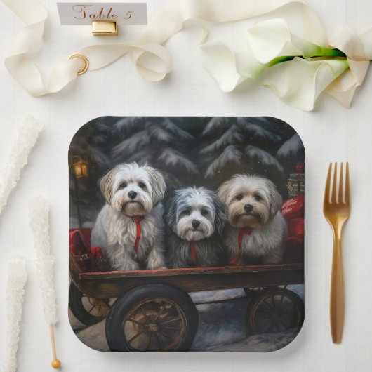 Havanese Sneeuwslee Kerst Decor Papieren Bordje (Huwelijk)