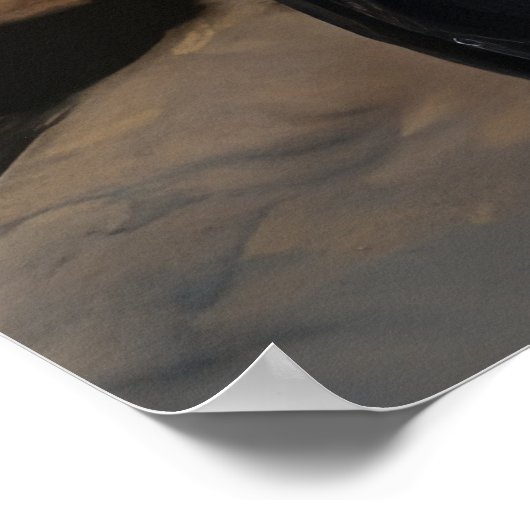 Havanese Sneeuwslee Kerst Decor Poster (Hoek)