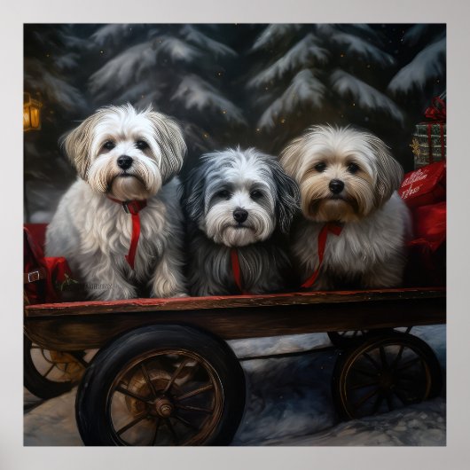 Havanese Sneeuwslee Kerst Decor Poster (Voorkant)