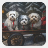 Havanese Sneeuwslee Kerst Decor Vierkante Sticker (Voorkant)