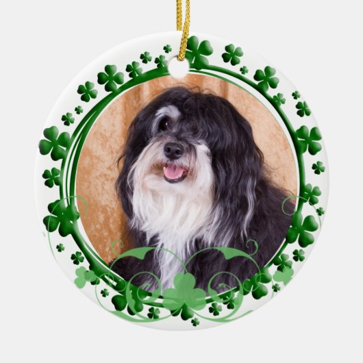 Havanese St. Patrick's Day Ornament (Voorkant)
