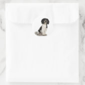 Havanese Stickers (Tas)