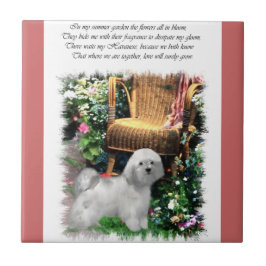 Havanese Summer Garden Tegeltje