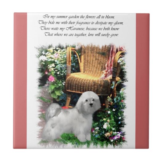 Havanese Summer Garden Tegeltje (Voorkant)