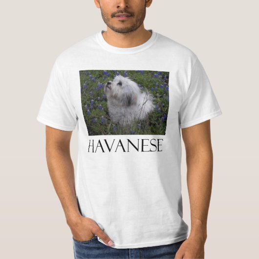 HAVANESE T-SHIRT (Voorkant)
